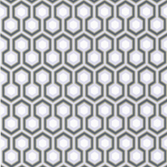 Hicks' Hexagon (66-8055)